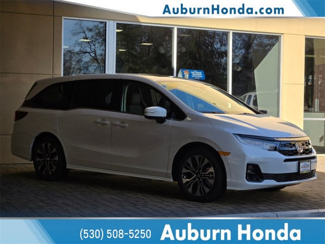 BUY HONDA ODYSSEY 2026 ELITE, Daily Deal Cars